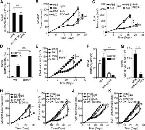 Anticancer Chemotherapy Induced Intratumoral Recruitment And