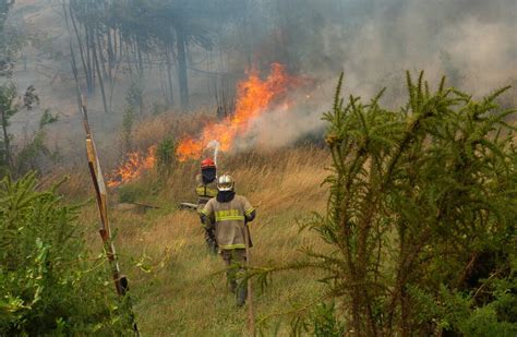 En Imágenes Los Incendios Forestales En Chile Avanzan Sobre Los Viñedos