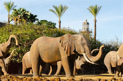 Benalmadena Spain November Roundabouts Of The Elephants In