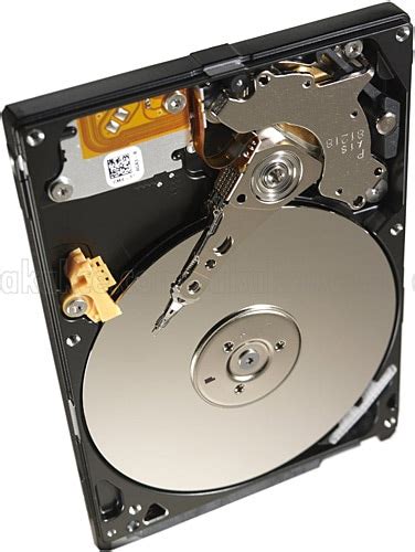 Seagate Laptop Thin Sshd St Lm Sata Rpm Tb Gb