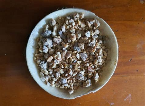 Sal Tree Shorea Robusta Resin Small Pieces 25g Etsy Australia