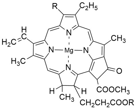 Porphyrin Ring And Its Importance Principle Of Chemistry