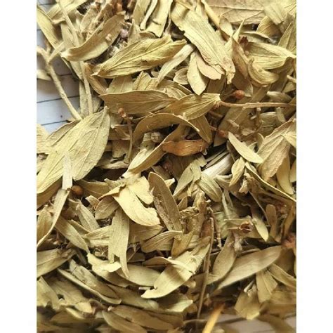 Green Dry Rasna Leaves Packaging Type Loose Grade Medicine Grade At