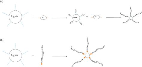 Schematic Of Two Grafting Approach A Grafting To Approach B