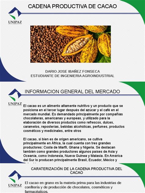 Cadena Productiva De Cacao Pdf Chocolate Agricultura