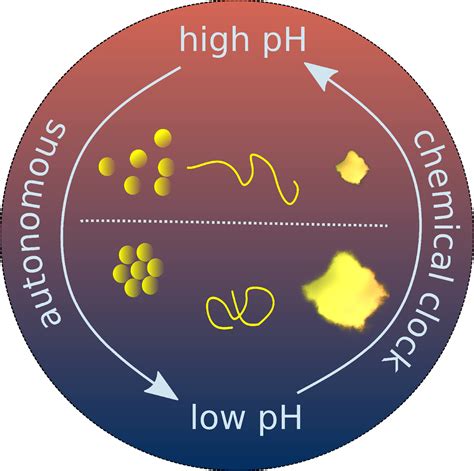 Autocatalysis: ChemSystemsChem - Chemistry Europe