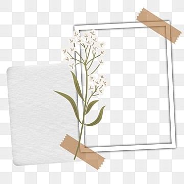 Polaroid Photo Frame PNG Picture Dry Flower Photos Polaroid Frame