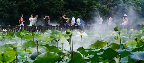 Honghu Park Eyeshenzhen