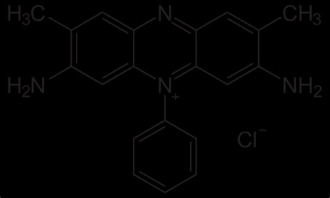 The molecular structure of BR2. | Download Scientific Diagram