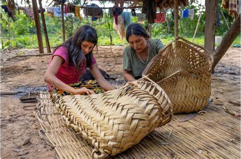 The Roles Played By Indigenous Peoples In Biodiversity Conservation