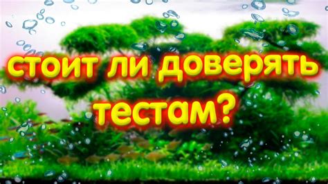 Стоит ли доверять аквариумным тестам? Калибровка тестов для аквариума ...