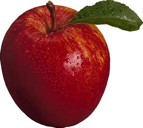 Apple Fruit Apple Png Png Download 12841151 Free Transparent