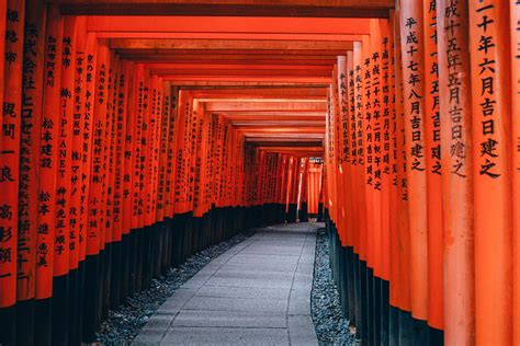 Japan – A Journey Through Ancient Traditions - Amaco Small Group Tours