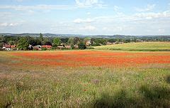 Category:Farncombe - Wikimedia Commons