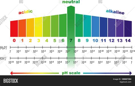 Ph Acidic Chart