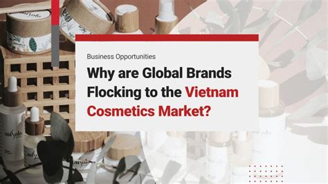 Why Global Brands Target Vietnam S Cosmetics Market