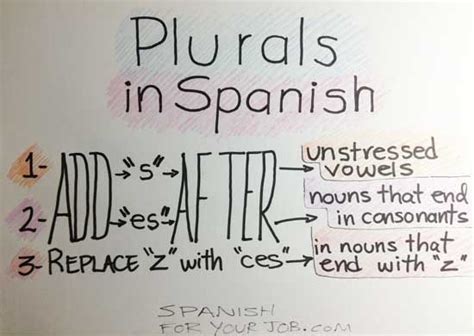 How To Know If A Word Is Masculine Or Feminine In Spanish Differentiate The Gender Of Singular