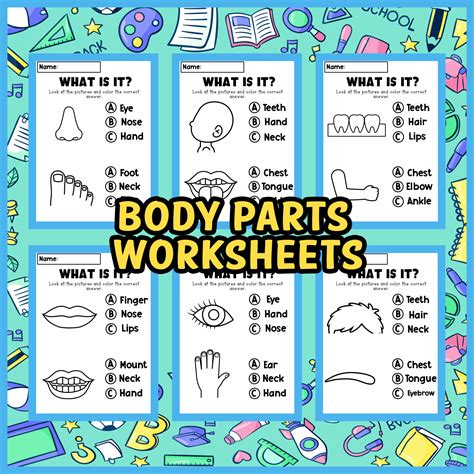 Body Parts Worksheets for Kids | Made By Teachers