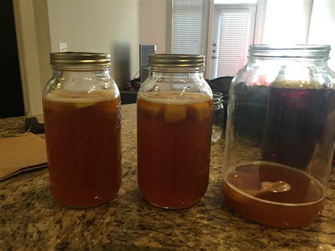 How To Make Your Own Delicious Kombucha In 7 Days Nat Eliason