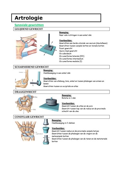 Anatomie Artrologie Osteologie Artrologie Synoviale Gewrichten