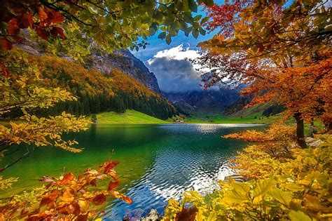 Autumn In Switzerland Branches Swiss Autumn Trees Beautiful