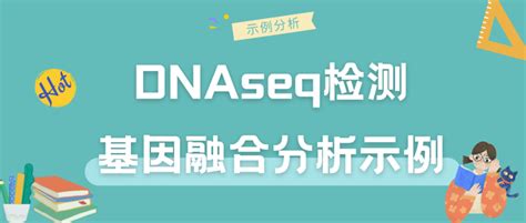 Ffpe 样本的融合基因检测：dna Or Rna？ 知乎