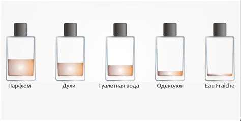 Духи — новые прикольные фото, анекдоты, видео, посты на fishki.net
