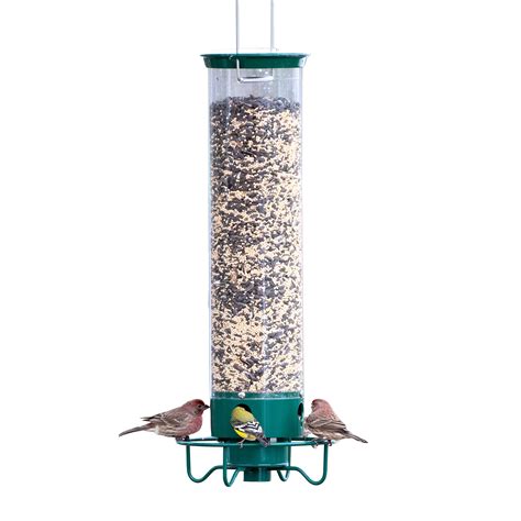 Best Squirrel Proof Bird Feeder 2025 Trusted Loved Picks