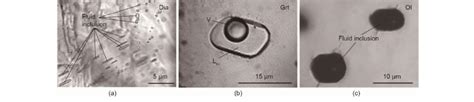 Micrographs Of Primary Fluid Inclusions A High Density Fluid