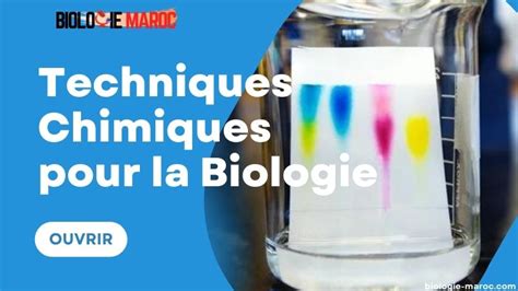 SVI S3 Biologie Maroc