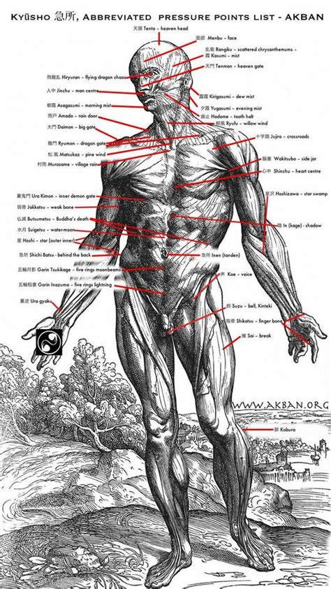 Ninjutsu Techniques Kyusho Abbreviated Pressure Points Chart In