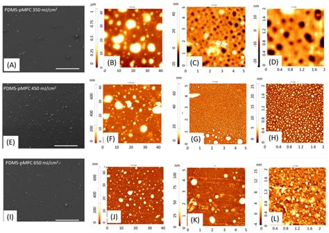 Sem And Afm Images Of Pmpc Coatings Obtained By Maple On Untreated