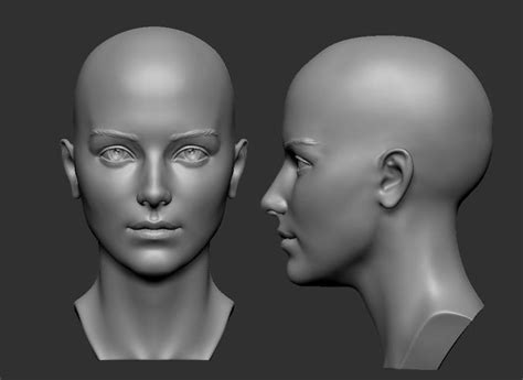 Female Head 5 3d Print Model Character Art Face Female Head