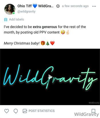 Wildgravity Boudoir Wildgravityofficial Nude OnlyFans The Fappening Plus