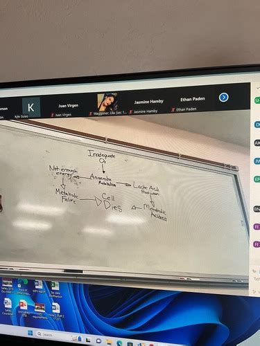 Pathophysiology Flashcards Quizlet