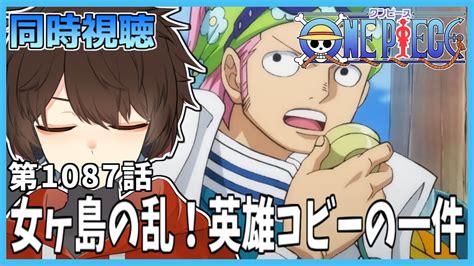 【アニワン同時視聴】アニメワンピース1087話「女ヶ島の乱！英雄コビーの一件」を一緒に観よう！【錦秋紅葉個人vtuber】 Youtube