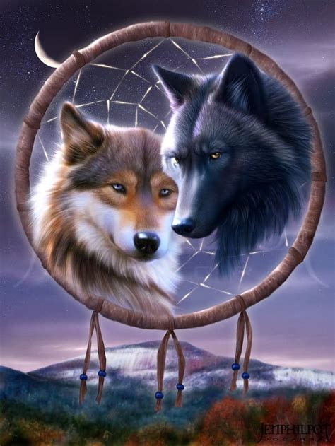 Native American Wolf Dreamcatcher Hd Phone Wallpaper Pxfuel