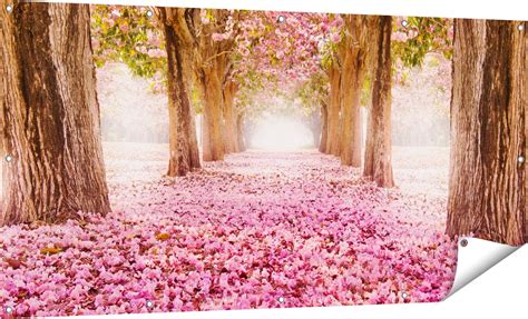 Gards Affiche De Jardin Tunnel Arbres Romantiques Aux Oeillets Roses