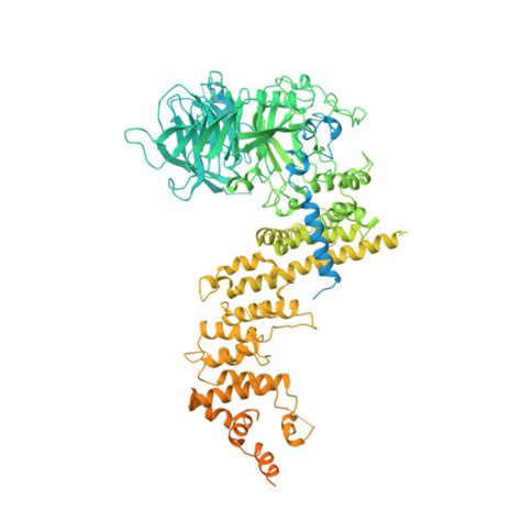 Rcsb Pdb Eyq Cryo Em Spa Structure Of Human Nup Longer N