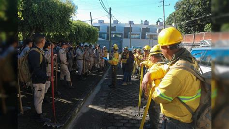 Gobierno De Uruapan Y Cecfor Unen Esfuerzos Para Proteger El