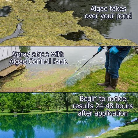 Algae Control Pond Package - Professional Algae Killer