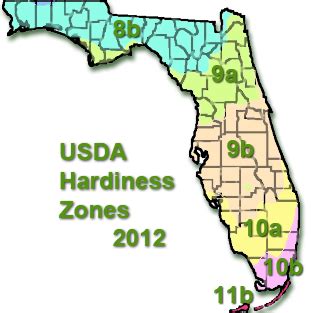 Gardening Florida Planting Zones - Gardening Mania