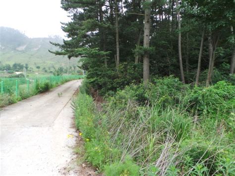 매도필 급경사13 완경사23 태양광발전부지계획관리지역 3000여평 만리포까지 4km 거리임 태안안면도