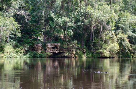 Withlacoochee Madison To Suwannee Florida Paddle Notes