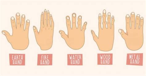 The Shape Of Your Hands Reveal A Lot About Your Personality Shape Of