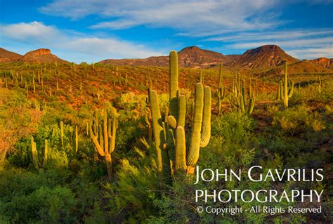 Southwestern Landscapes