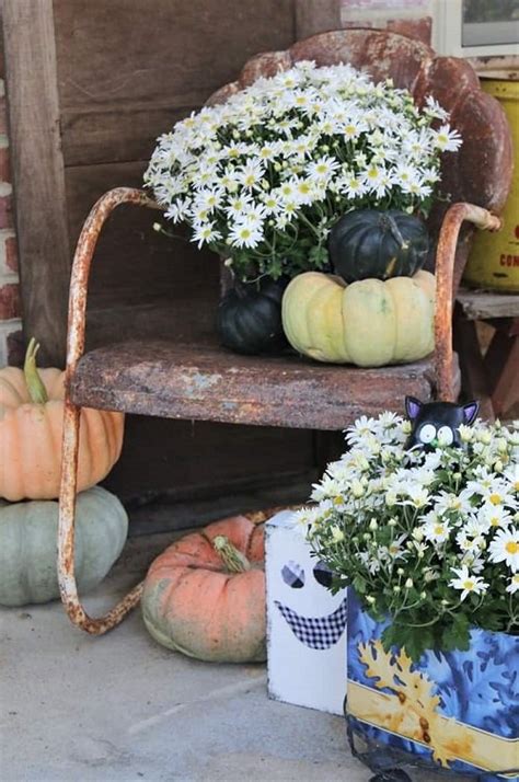 16 Ways To Decorate With Mums Landscaping With Mums Ideas