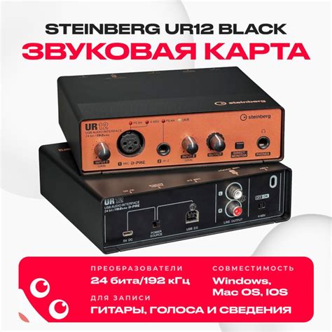 Студийная звуковая карта steinberg купить по выгодной цене в интернет ...