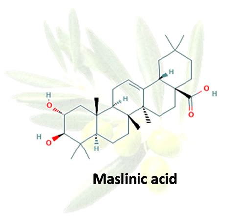 Molecules Free Full Text Unveiling The Differential Antioxidant