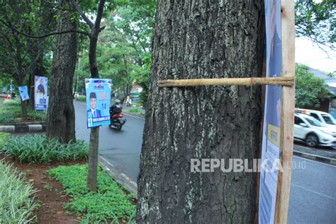 Kpu Ingatkan Capres Dan Caleg Jangan Pasang Baliho Dengan Dipaku Di